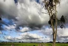 单节21-3！半场中国女篮领先韩国21分